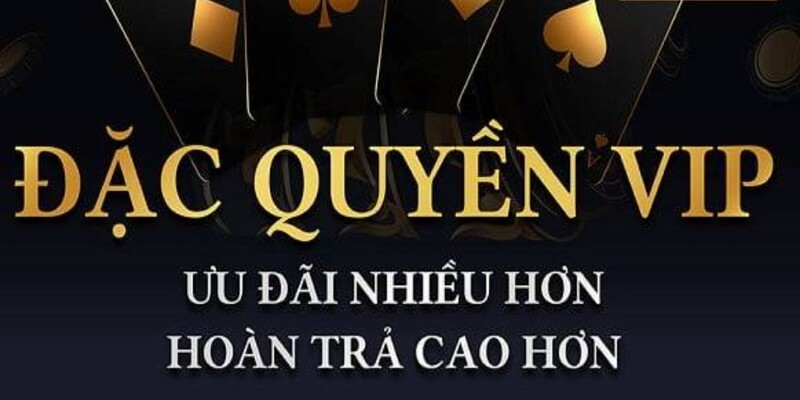 Các ưu đãi độc quyền khi trở thành hội viên VIP của ABC8